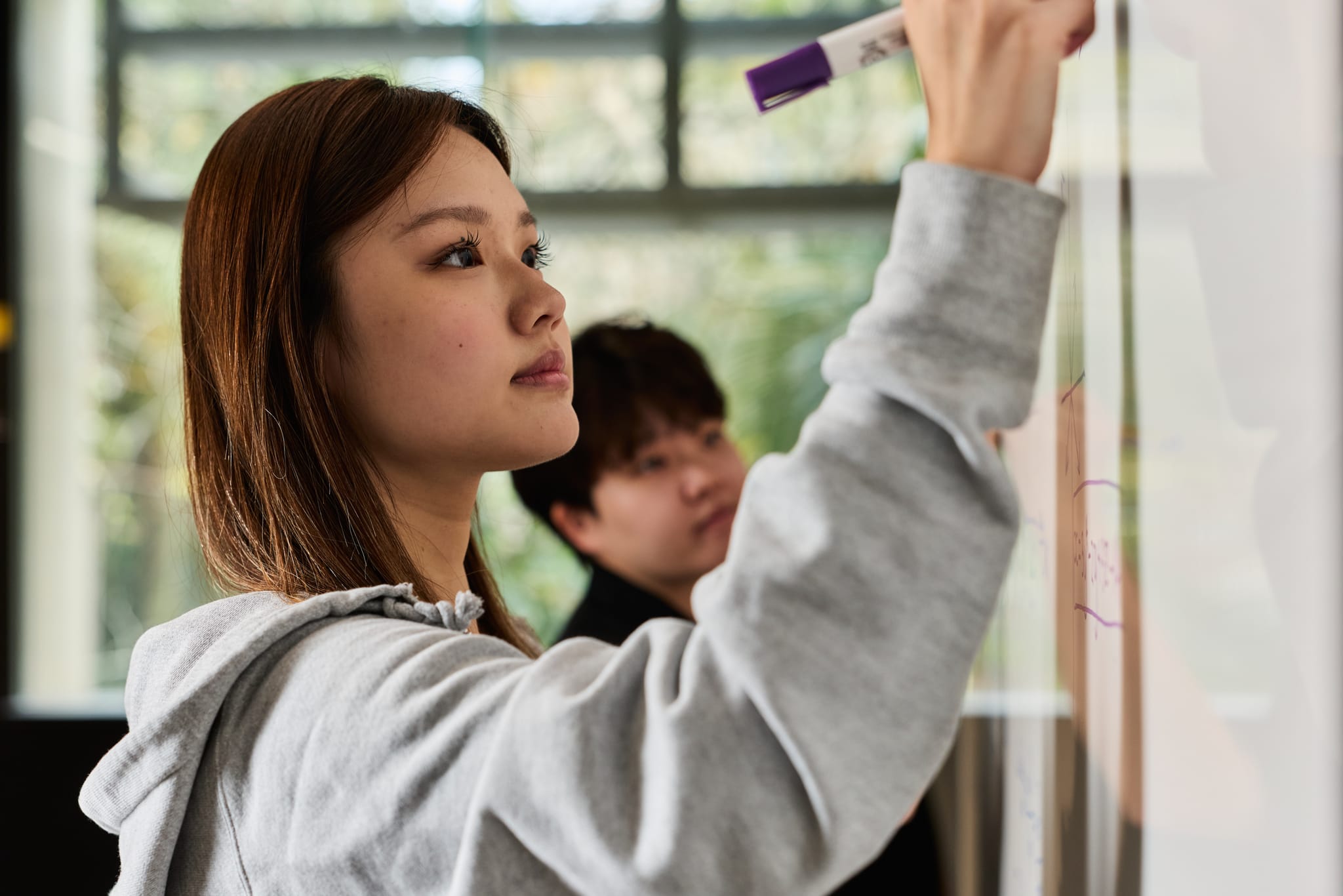 【2026】クイーンズランド大学（UQ）の奨学金ガイド｜留学生向けの種類と申請のコツ